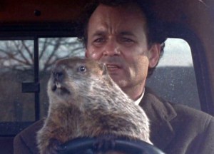 gal-groundhog-day-murray2